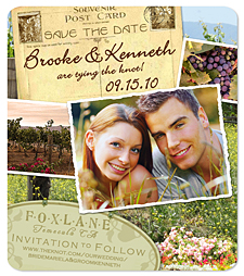 Wine Country Postcard