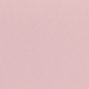 ballet color swatch