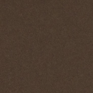 cocoa