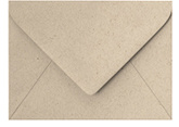 Paper Bag Envelope