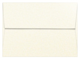 Ivory Shimmer Envelope